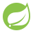 Java Spring Boot Logo